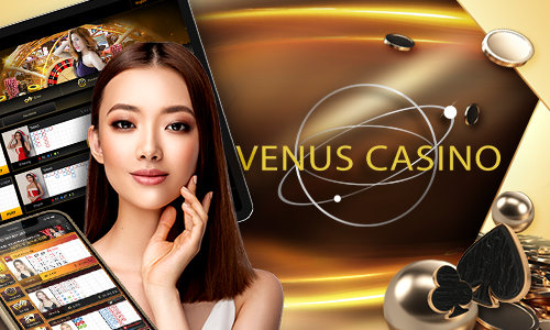 116bet 77bet cassino Terminal móvel